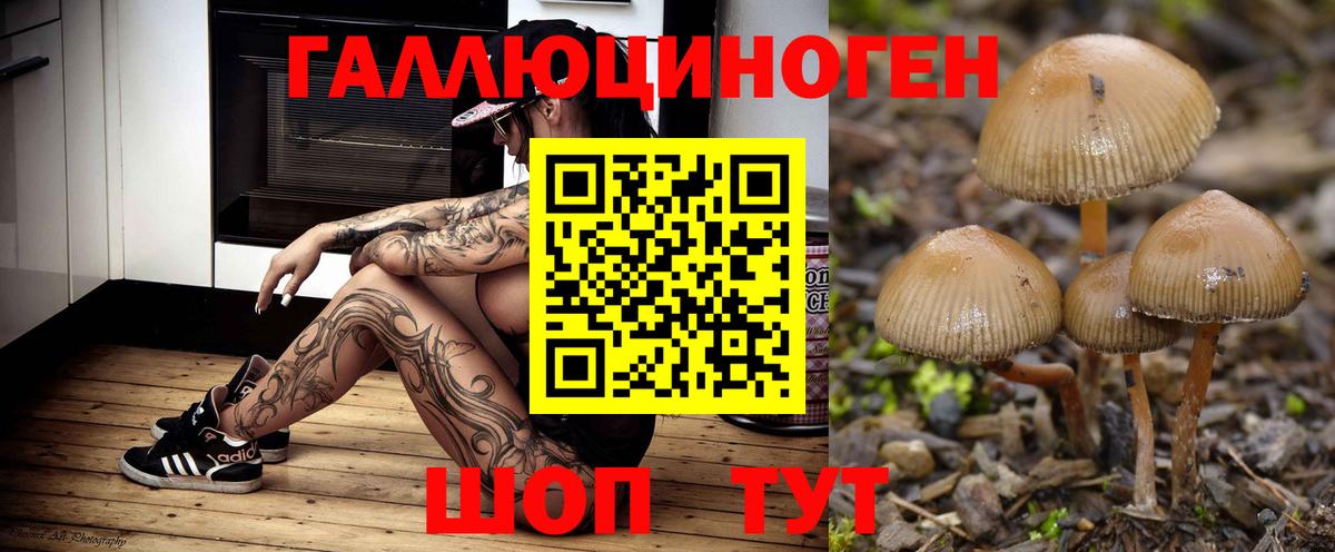 Галлюциногенные грибы Psilocybine cubensis  Псилоцибиновые грибы прущие грибы  Вход с VPN  Ялта 